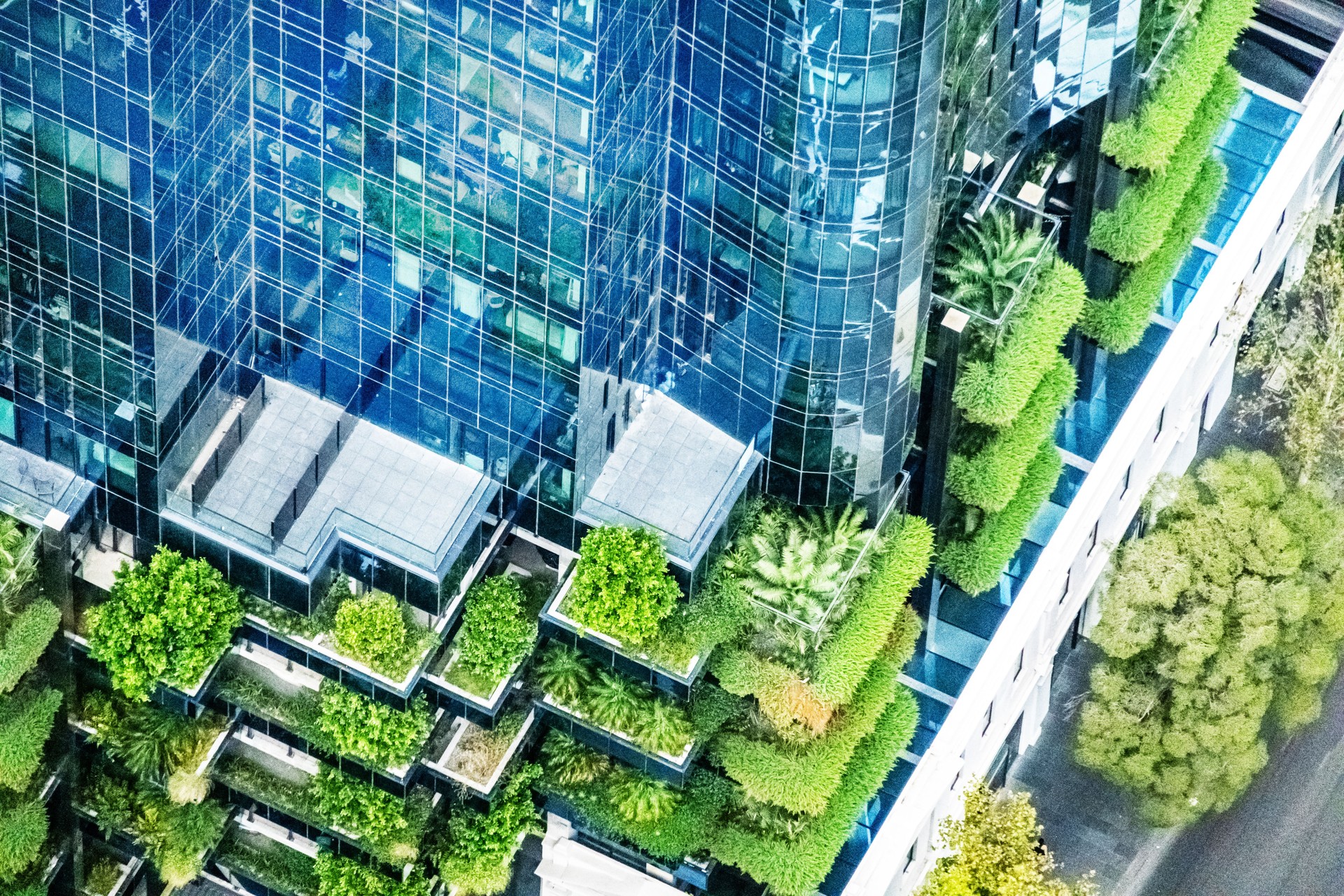 Balcony Gardens in a Modern High Rise